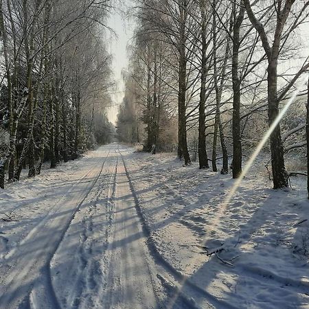 Domek Caloroczny Nad Jeziorem Budzislawskim, Wielkopolska Na Wynajem Anastazewo Extérieur photo