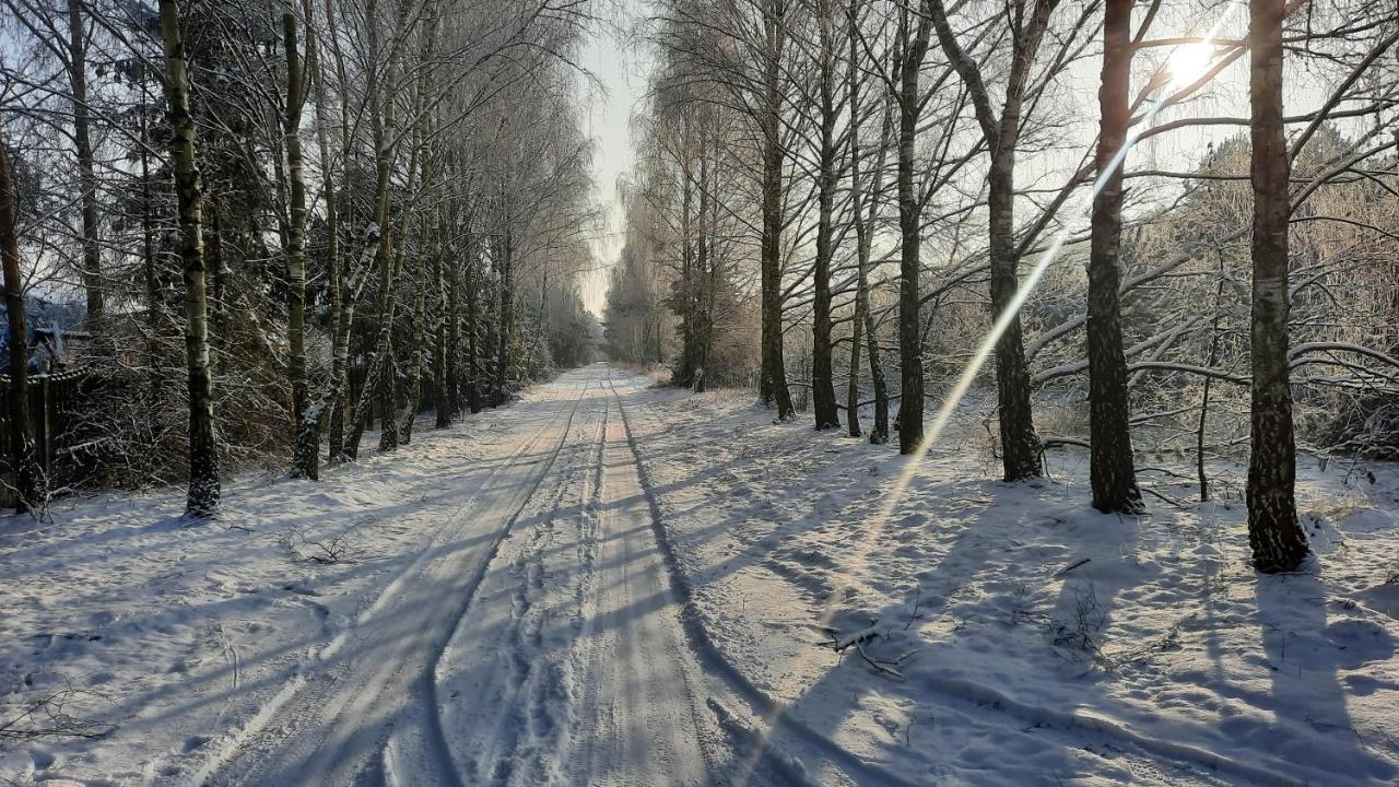 Domek Caloroczny Nad Jeziorem Budzislawskim, Wielkopolska Na Wynajem Anastazewo Extérieur photo